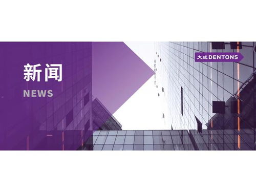大成律师为中国建材地质勘查中心开展矿业投资法律风险防范讲座